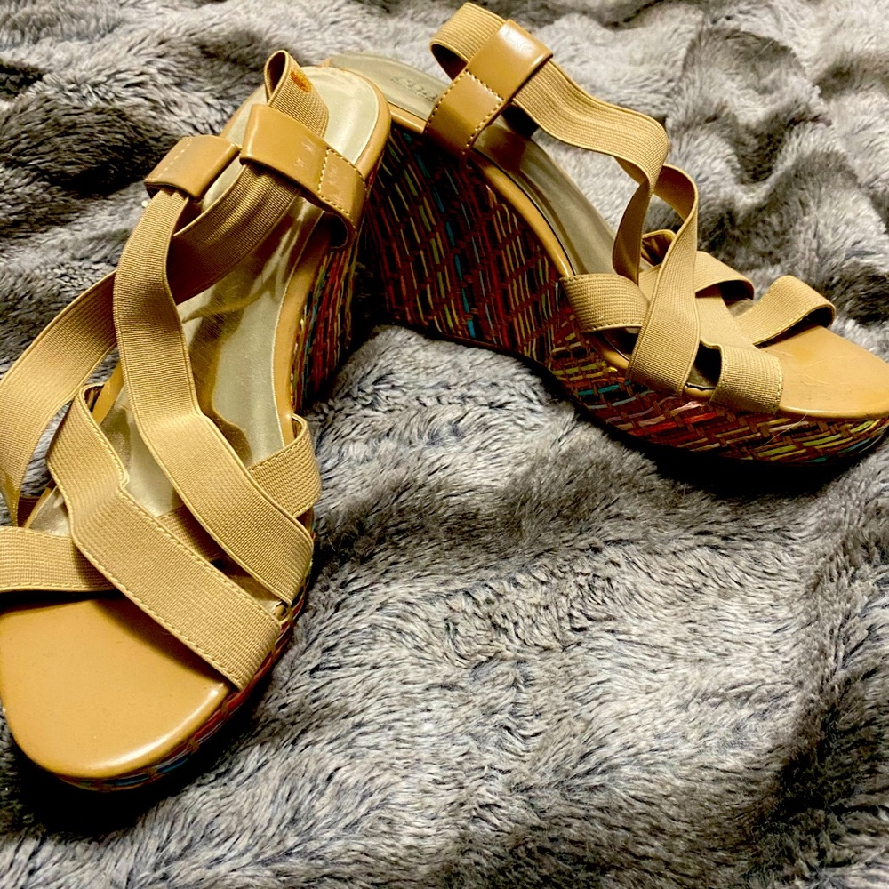 rainbow wedges